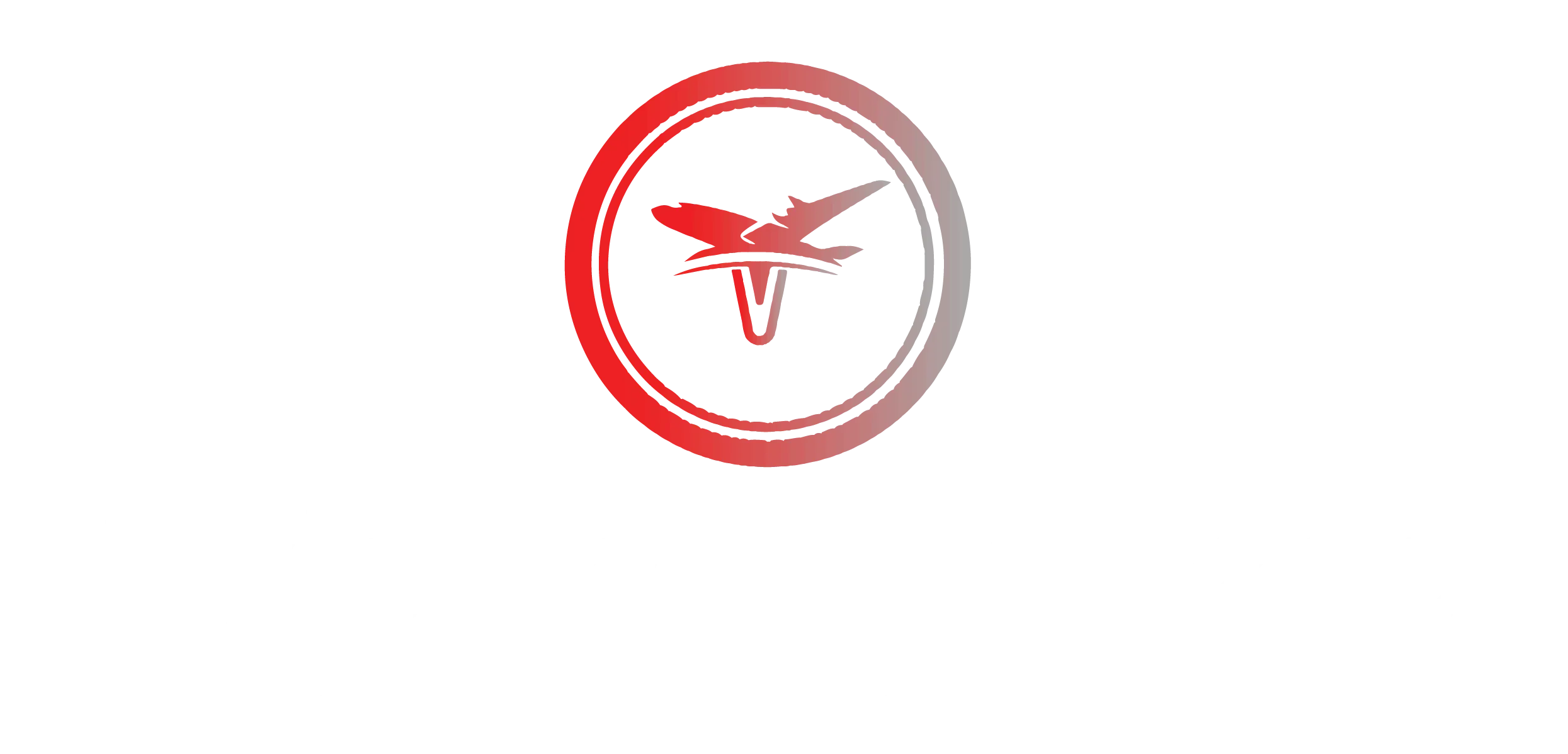 Vozis Travel Agency